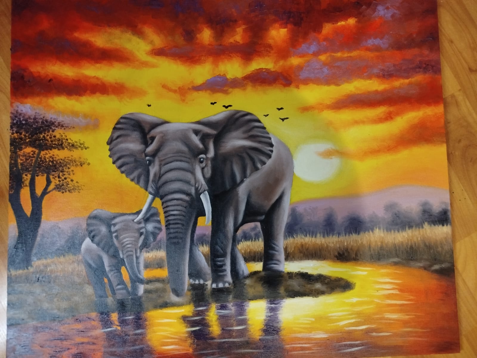 Savane au crépuscule